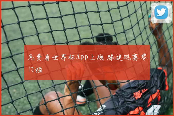免费看世界杯App上线 球迷观赛零门槛
