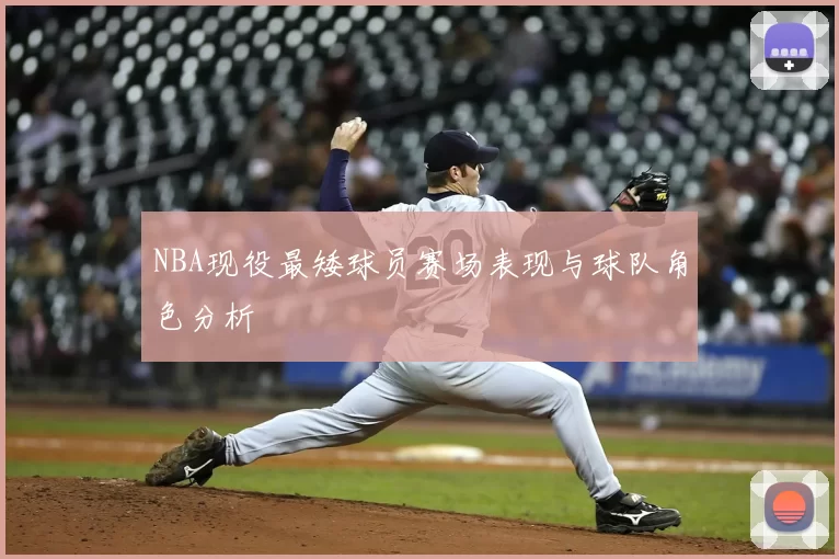 NBA现役最矮球员赛场表现与球队角色分析