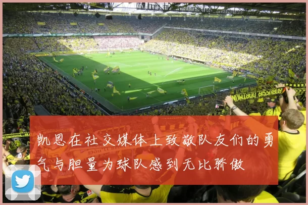 凯恩在社交媒体上致敬队友们的勇气与胆量为球队感到无比骄傲