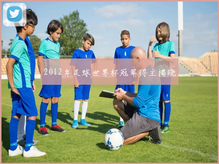 2012年足球世界杯冠军得主揭晓