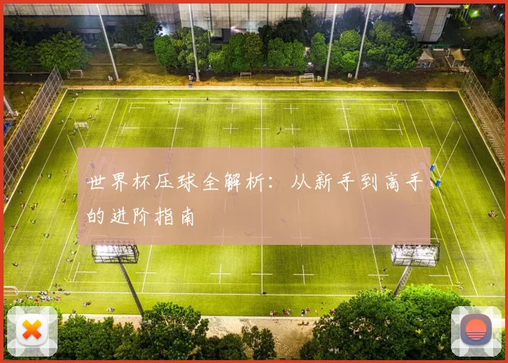 世界杯压球全解析：从新手到高手的进阶指南