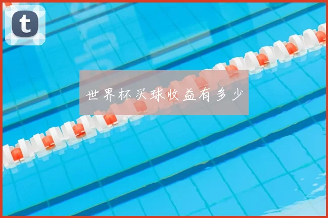 世界杯买球收益有多少