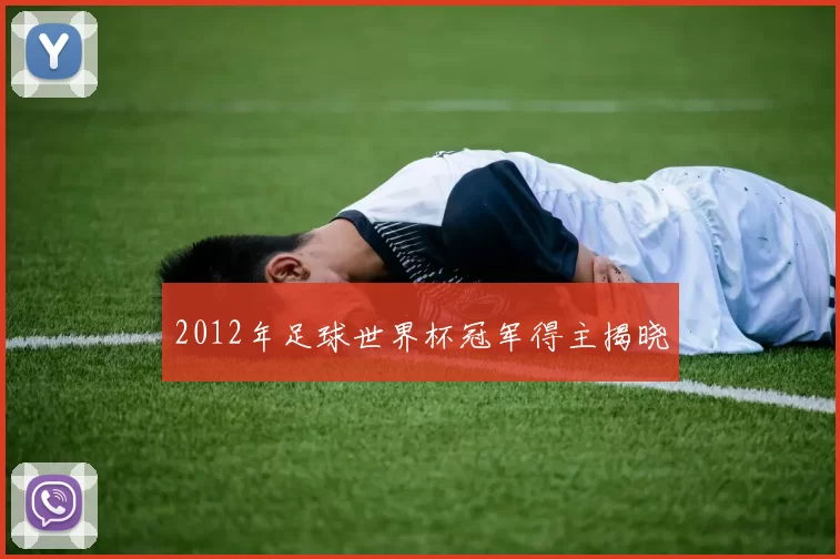 2012年足球世界杯冠军得主揭晓