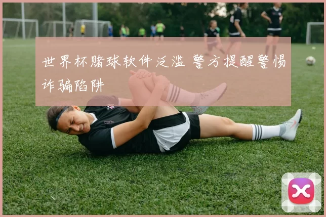 世界杯赌球软件泛滥 警方提醒警惕诈骗陷阱