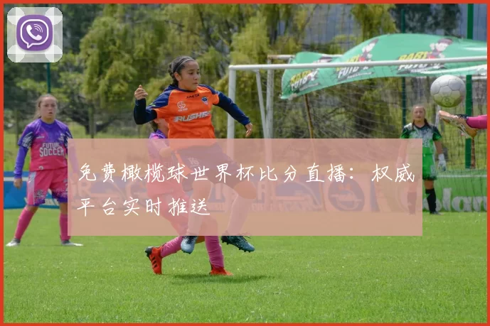 免费橄榄球世界杯比分直播：权威平台实时推送