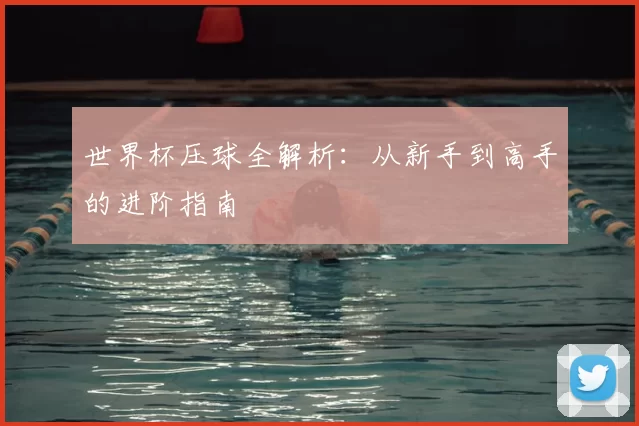 世界杯压球全解析:从新手到高手的进阶指南