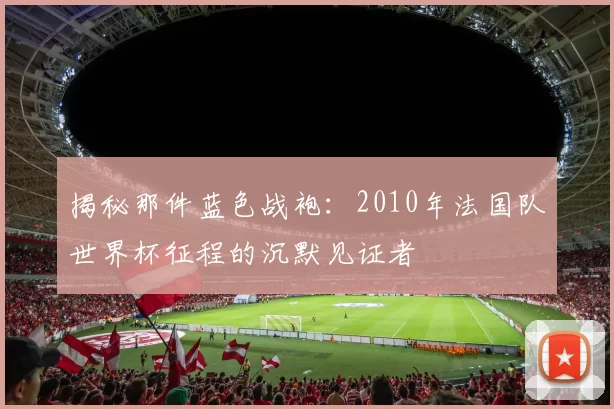 揭秘那件蓝色战袍:2010年法国队世界杯征程的沉默见证者