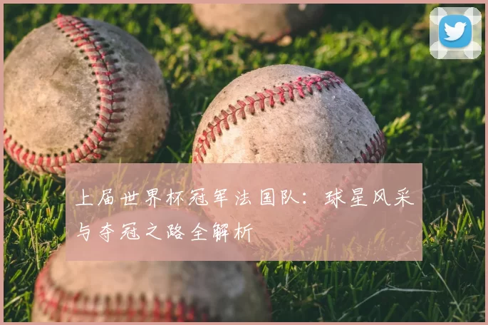 上届世界杯冠军法国队：球星风采与夺冠之路全解析