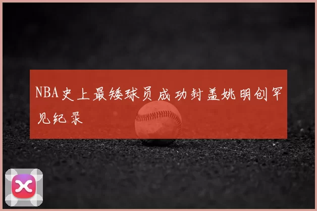 NBA史上最矮球员成功封盖姚明创罕见纪录