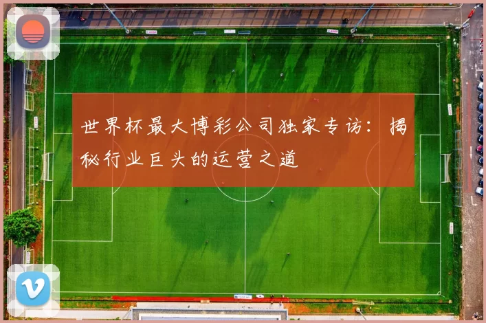 世界杯最大博彩公司独家专访:揭秘行业巨头的运营之道