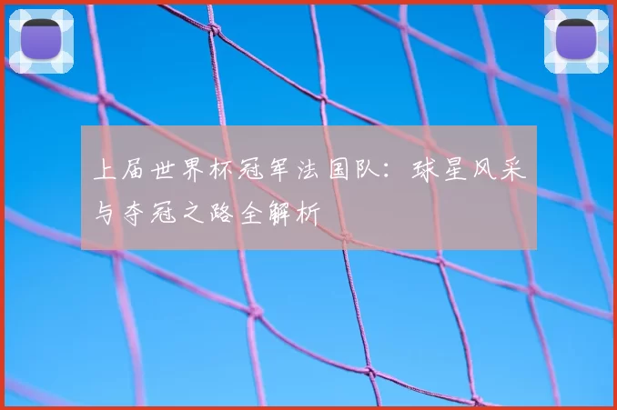上届世界杯冠军法国队：球星风采与夺冠之路全解析