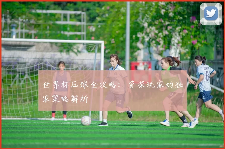 世界杯压球全攻略：资深玩家的独家策略解析
