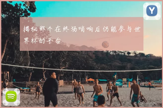 揭秘那个在终场哨响后仍能参与世界杯的平台