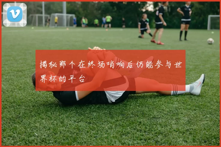 揭秘那个在终场哨响后仍能参与世界杯的平台
