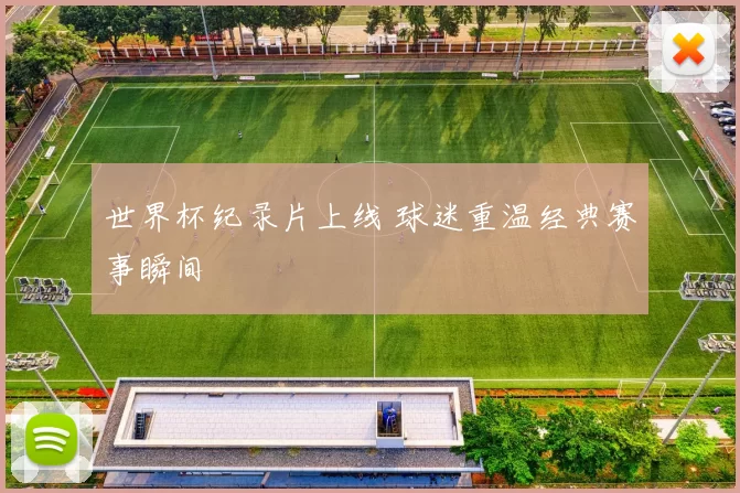 世界杯纪录片上线 球迷重温经典赛事瞬间