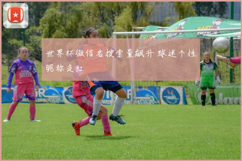 世界杯微信名搜索量飙升 球迷个性昵称走红